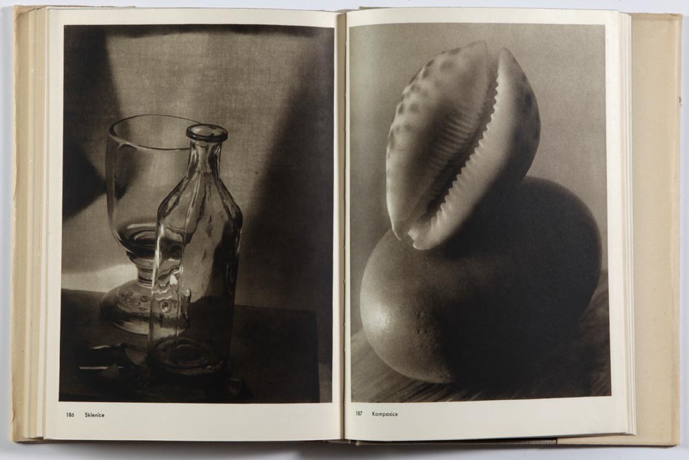 プラハの光 ヨゼフ・スデク　Josef Sudek ハードカバー プラハの光 ヨゼフ・スデク写真集 JOSEF SUDEK - books used and